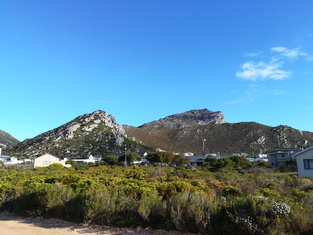 0 Bedroom Property for Sale in Pringle Bay Western Cape